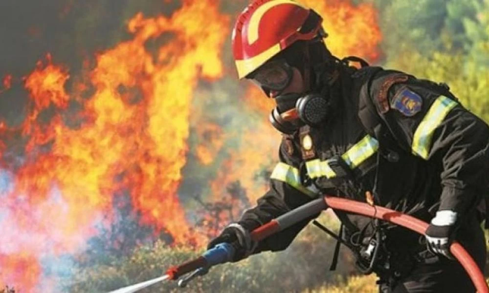 Υπό έλεγχο τέθηκε η πυρκαγιά στην Κάρυστο